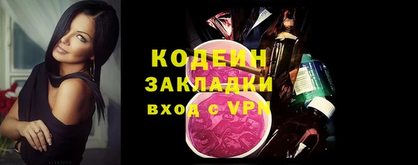 шишки Вяземский