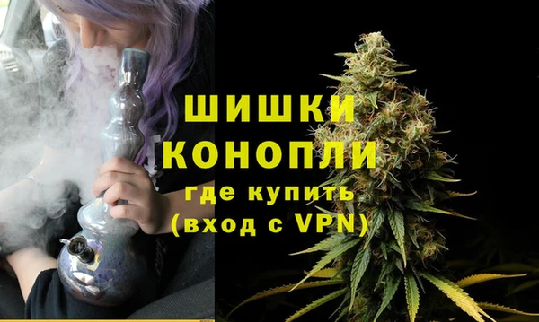 шишки Вяземский