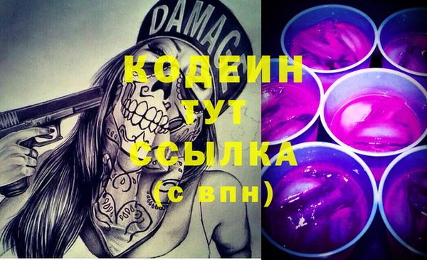 шишки Вяземский