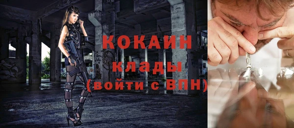 шишки Вяземский