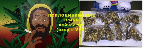 шишки Вяземский