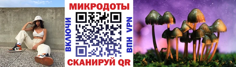 Галлюциногенные грибы ЛСД  Купить закладки  Сковородино 